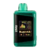 Wintergreen Flavor 25000 Vape